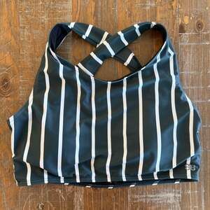 Albion Fit Coastal Stripe High Tide Crop Swim Top